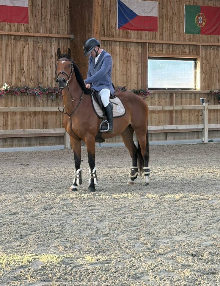 Jument Z CSO 7 ans 