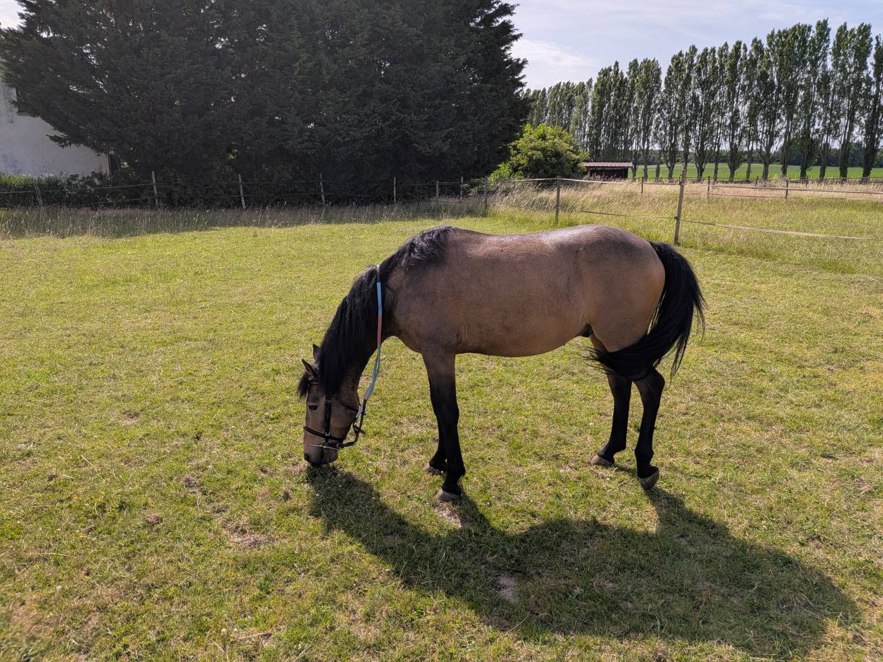 Recherche Demi pension 