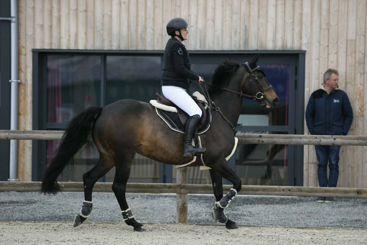 Jument de sport, SF, CSO