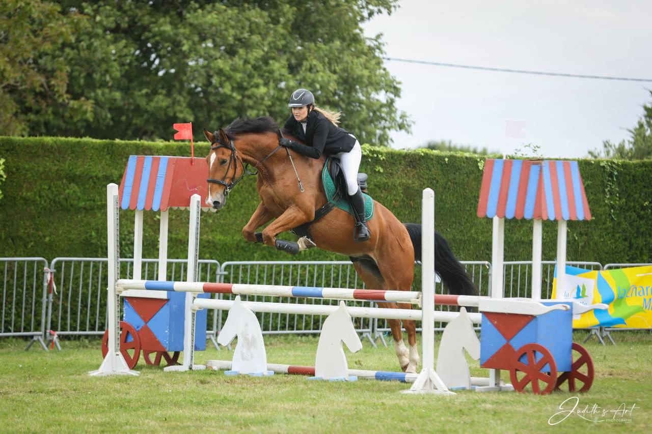 Cheval de loisir 