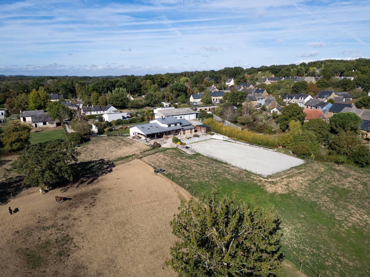 Maison 150 m&sup2; avec appartement T3 80 m&sup2;/ 5 box chevaux