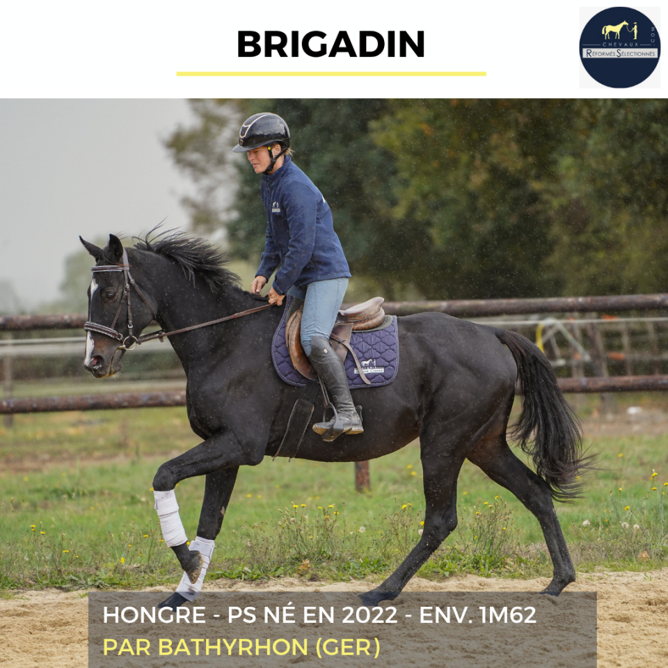 BRIGADIN - PS - 4 ANS