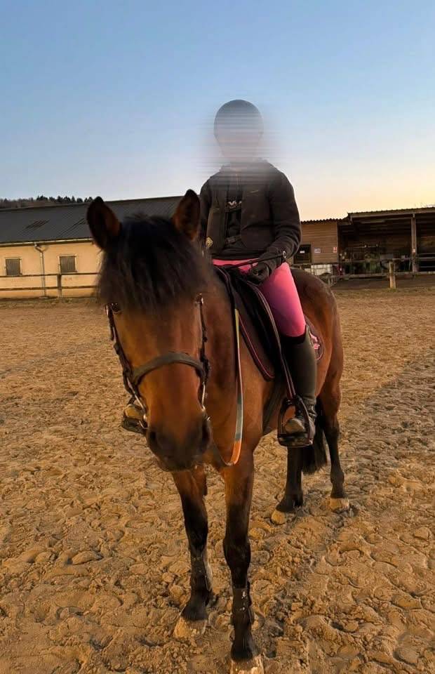 Ponette de loisir 