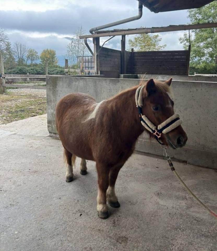Ponette A 