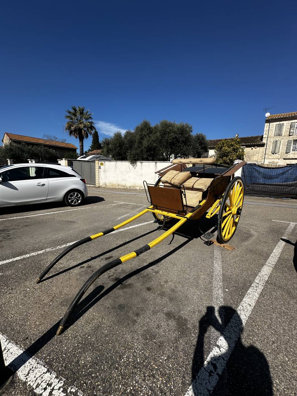 Rare Dog-Cart en bois verni d'&eacute;poque