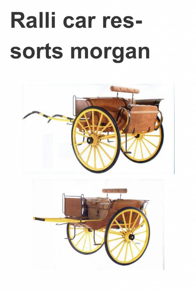 Rare Dog-Cart en bois verni d'&eacute;poque