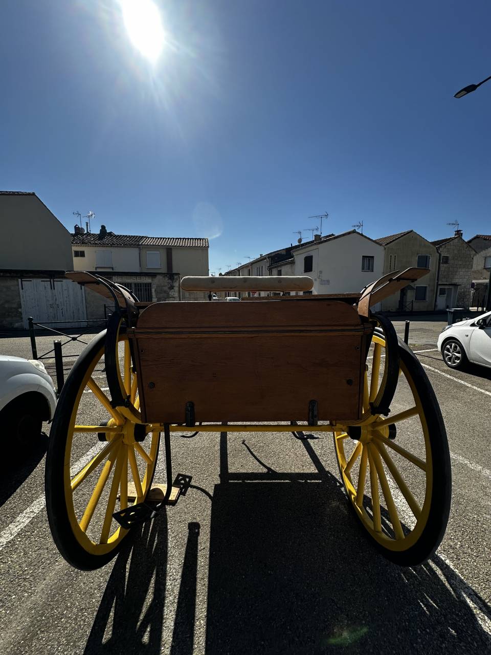 Rare Dog-Cart en bois verni d'&eacute;poque