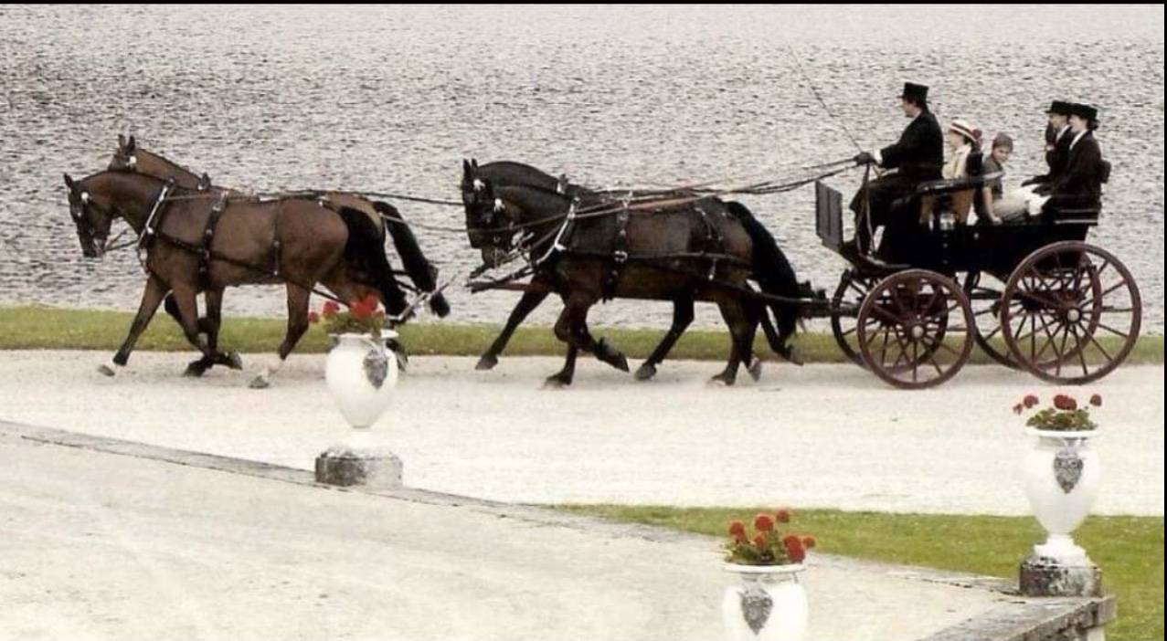 Pi&egrave;ce Historique Majeure &ndash; Demi-Mail Phaeton BARKER LON