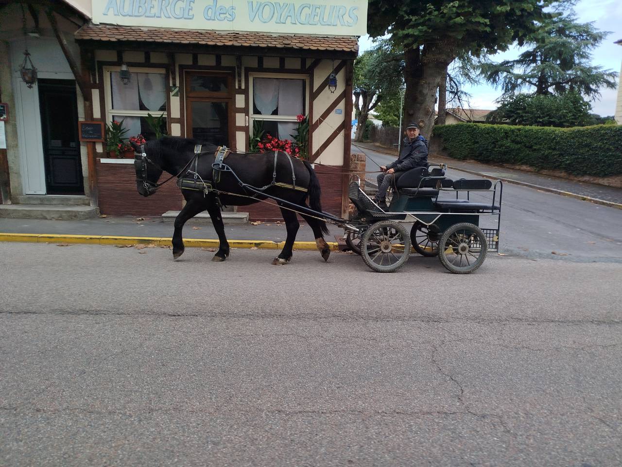 Noukie, jument Percheronne