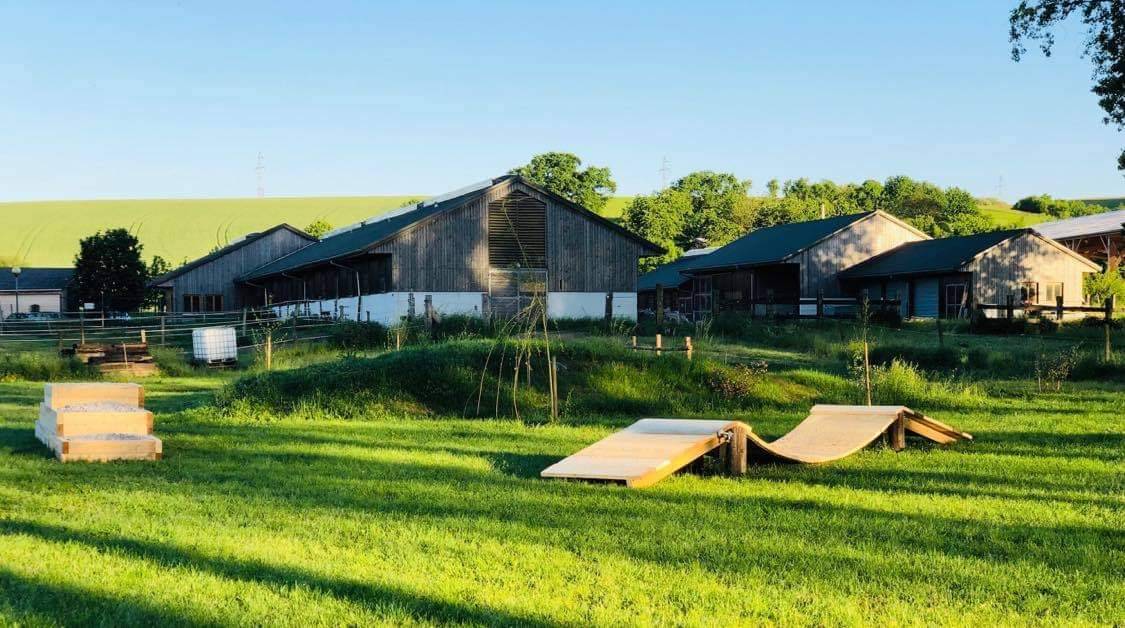 Propri&eacute;t&eacute; equestre Haras en activit&eacute; 