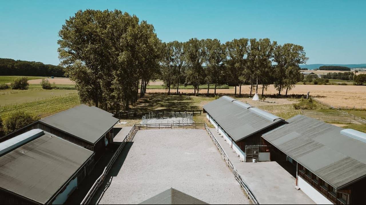 Propri&eacute;t&eacute; equestre Haras en activit&eacute; 