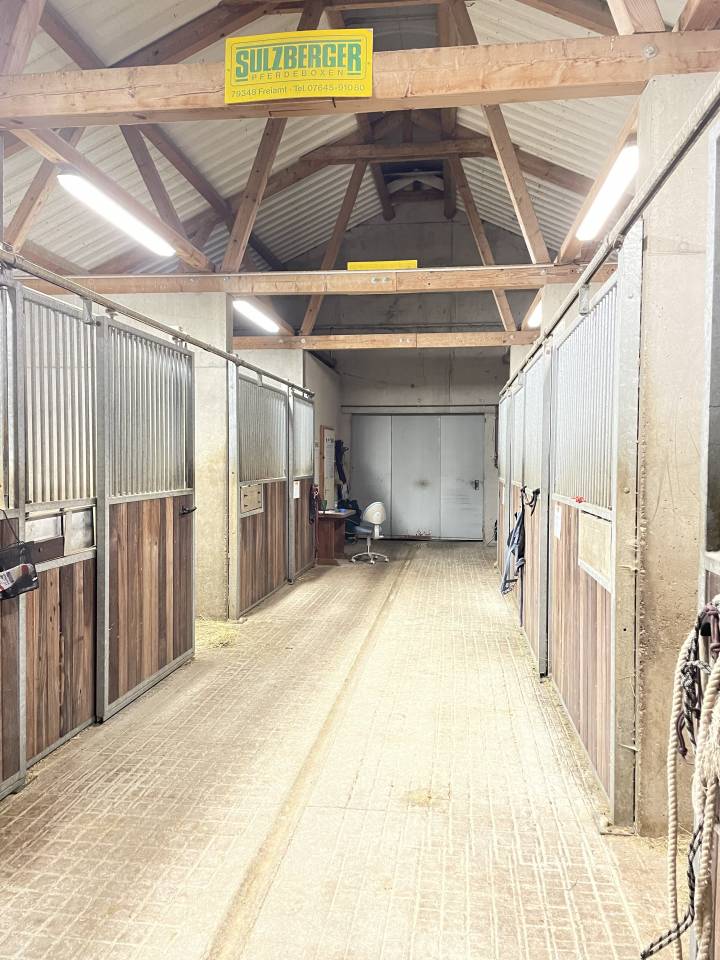 Propri&eacute;t&eacute; equestre Haras en activit&eacute; 