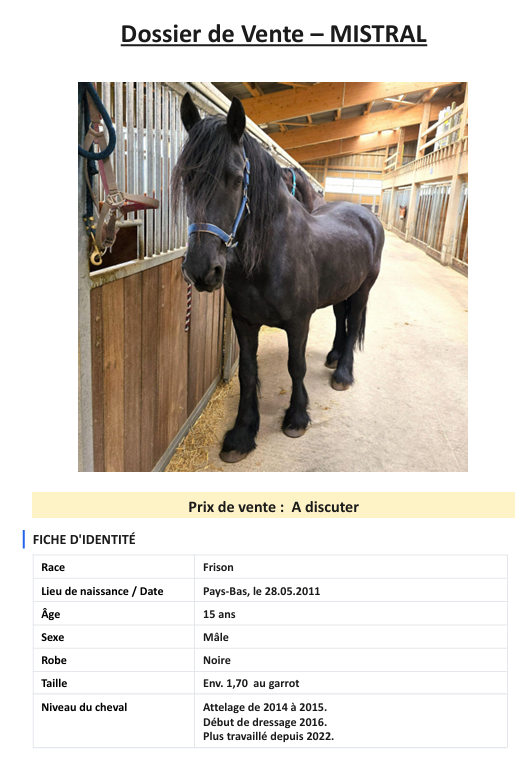 Mistral - 2 frisons &agrave; vendre, si possible ensemble