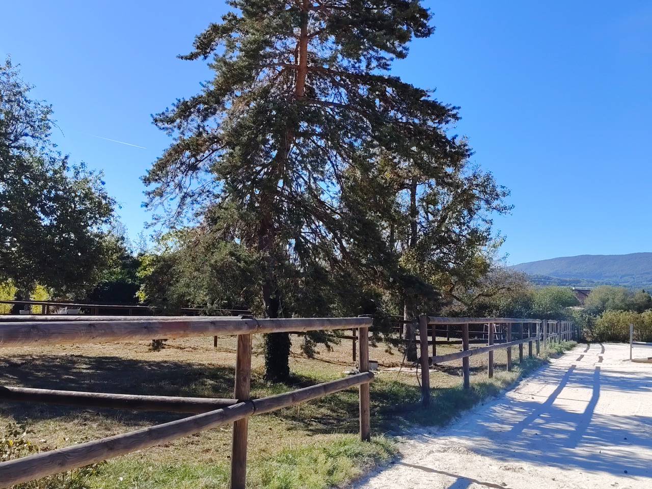 Location &eacute;curie &agrave; 1km de la douane de Chancy proche Gen&egrave;ve