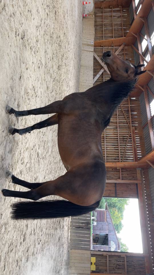 &Agrave; vendre