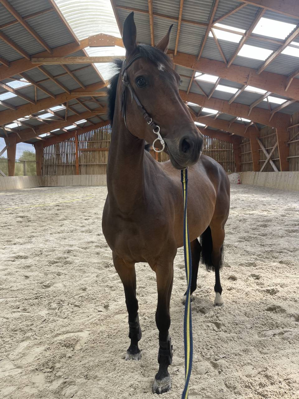 &Agrave; vendre