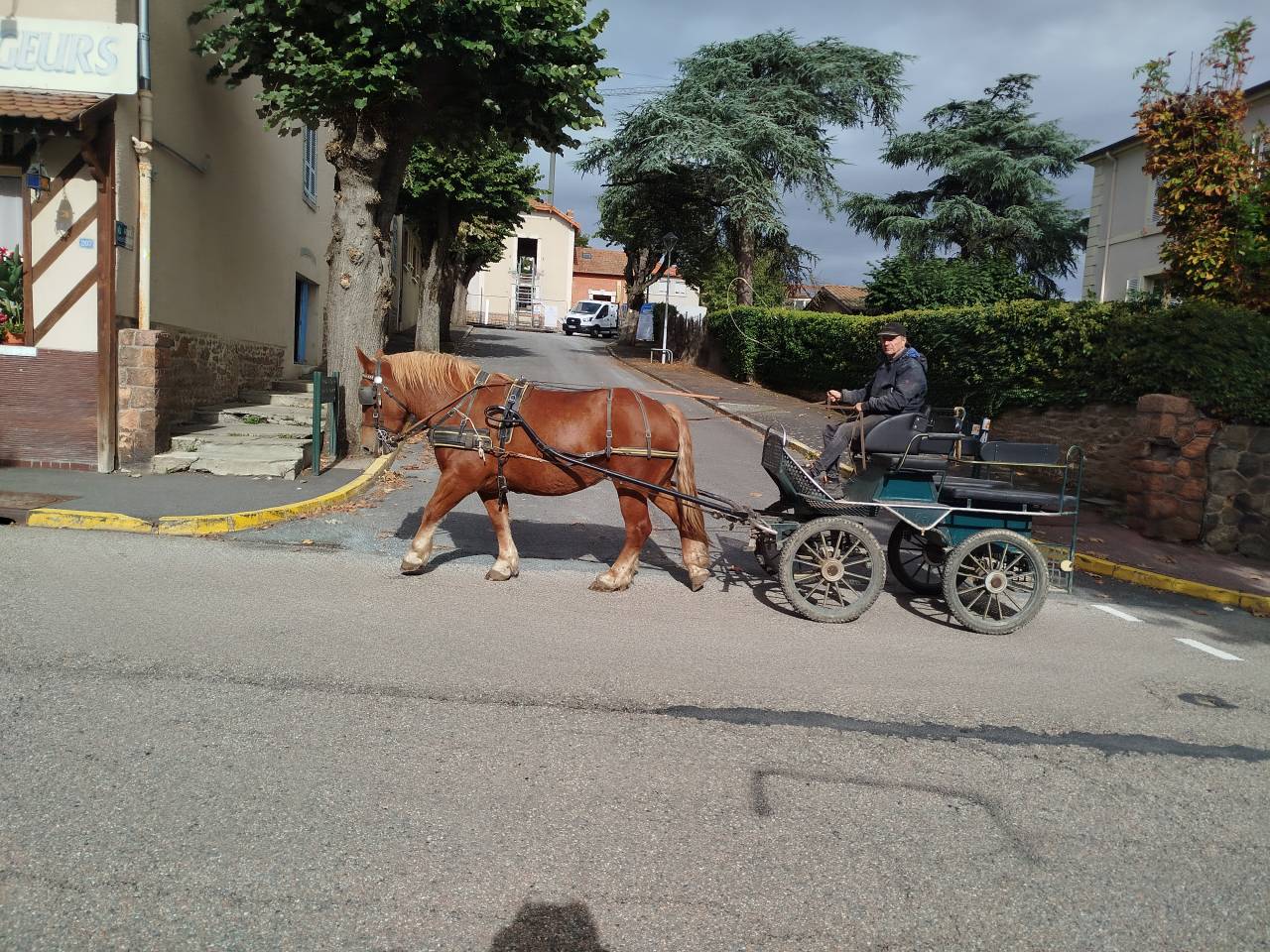 Noblesse, Bretonne PP