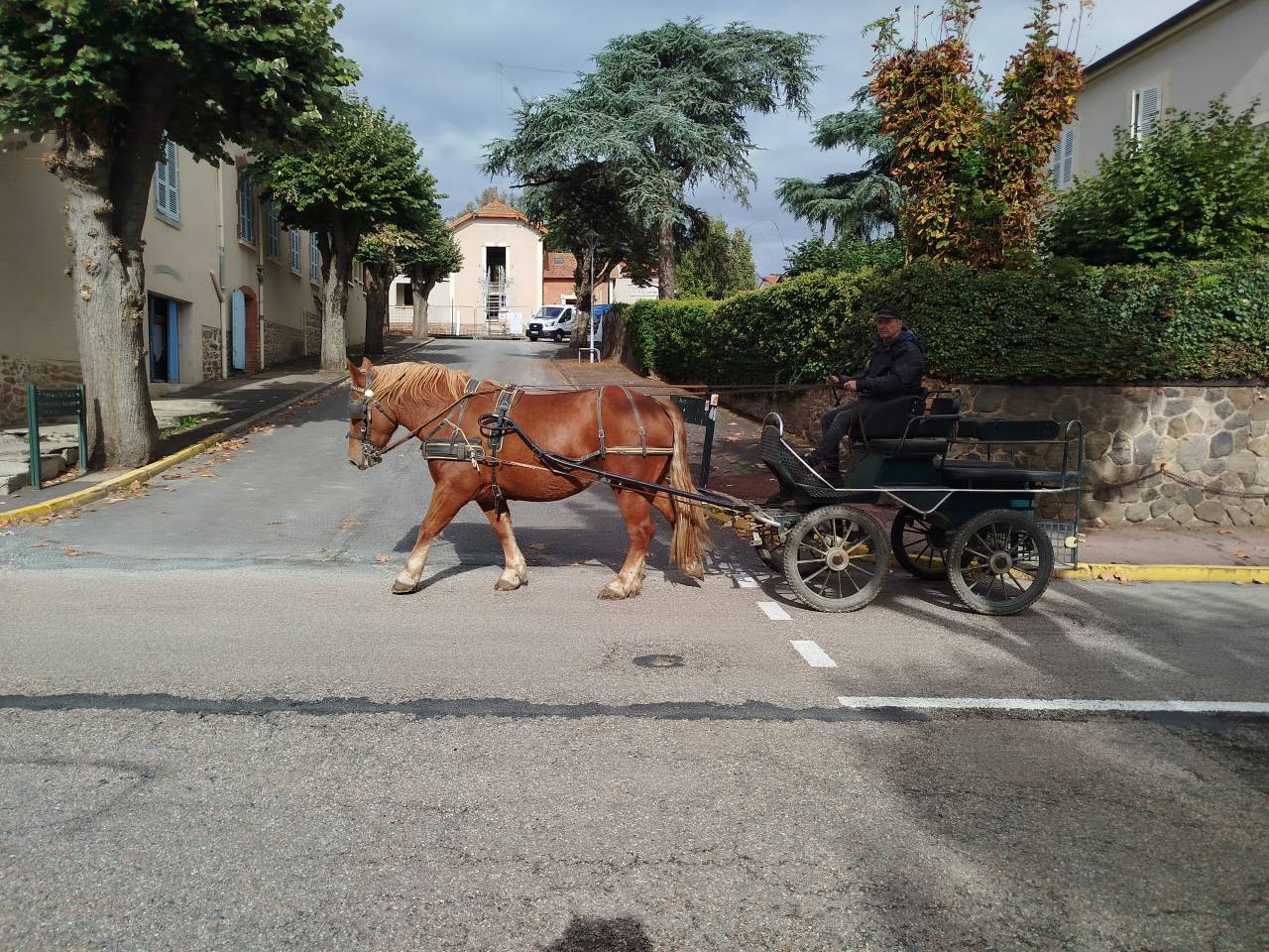 Noblesse, Bretonne PP