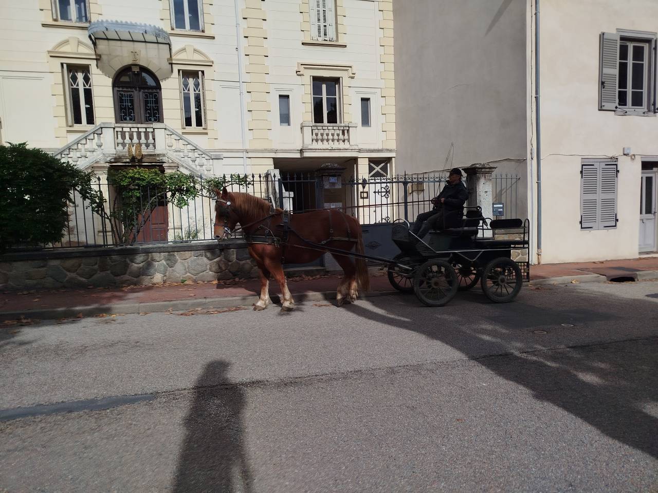 Noblesse, Bretonne PP