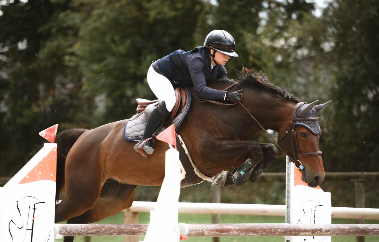 Top Jument 8 ans &agrave; vendre 