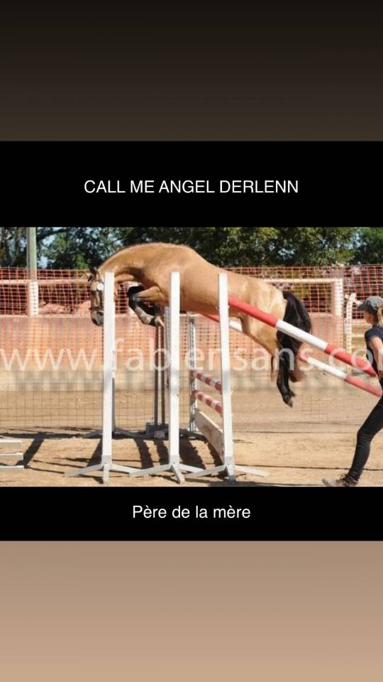 Pouliche PFS