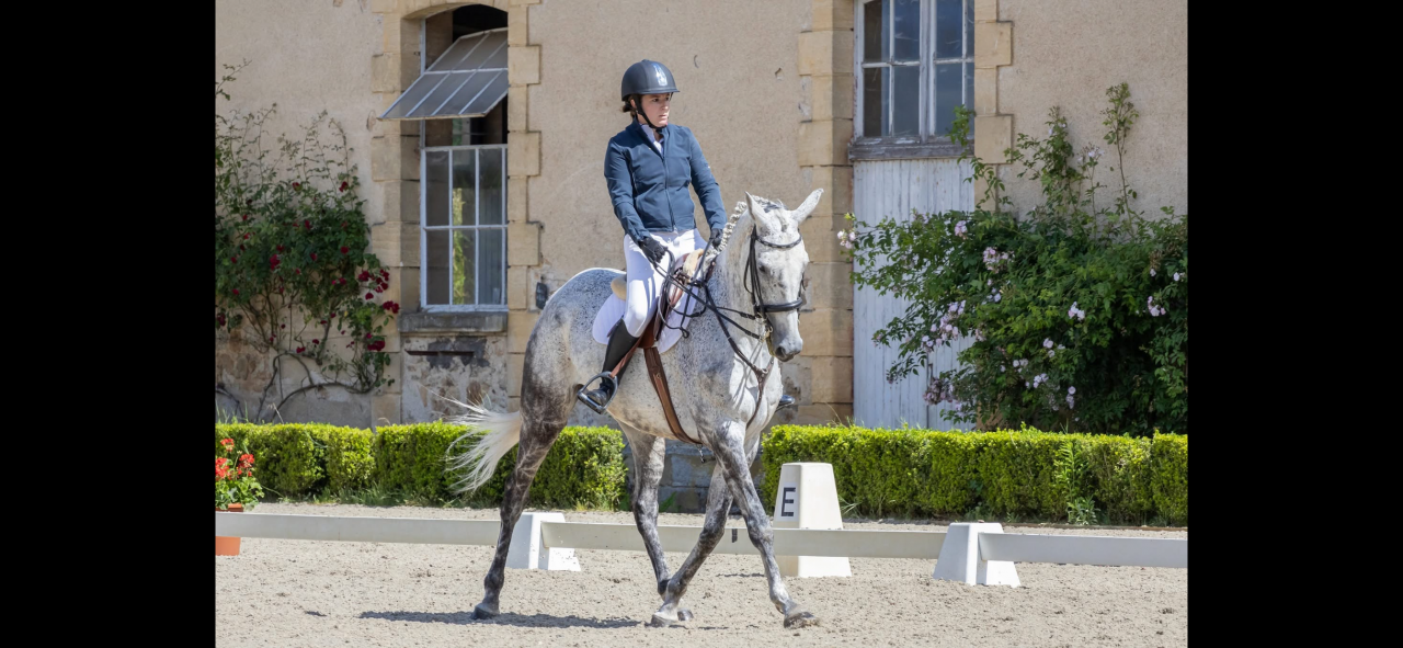 &Agrave; vendre Hongre AA 10 ans