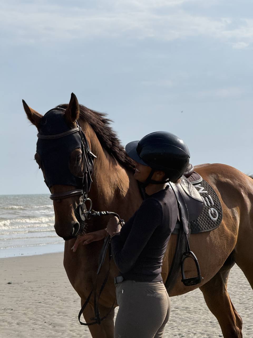 Cheval &agrave; vendre