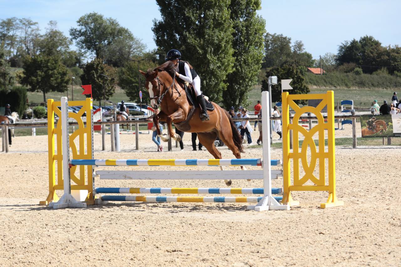 Poney CSO comp&eacute;titif, 5 ans en 2027