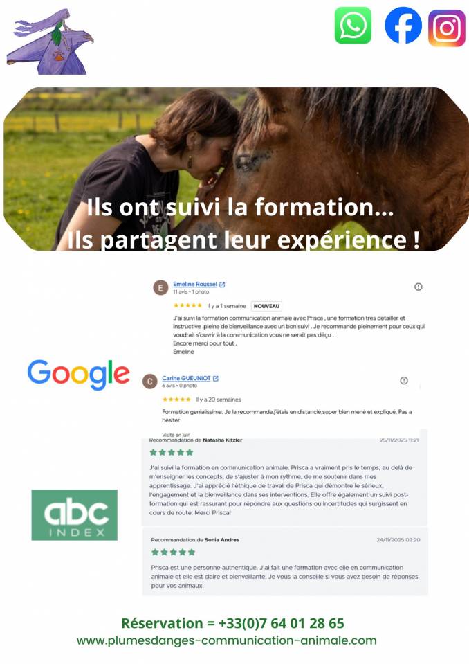 -10% sur votre Formation en communication animale