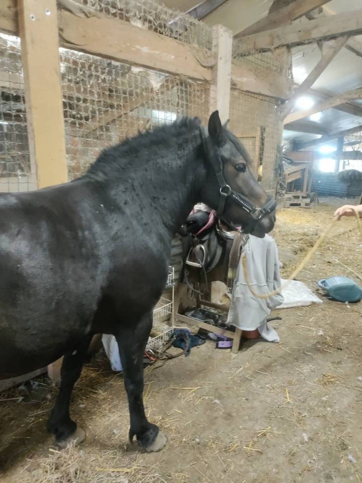 Yasmine, Ponette Pottock