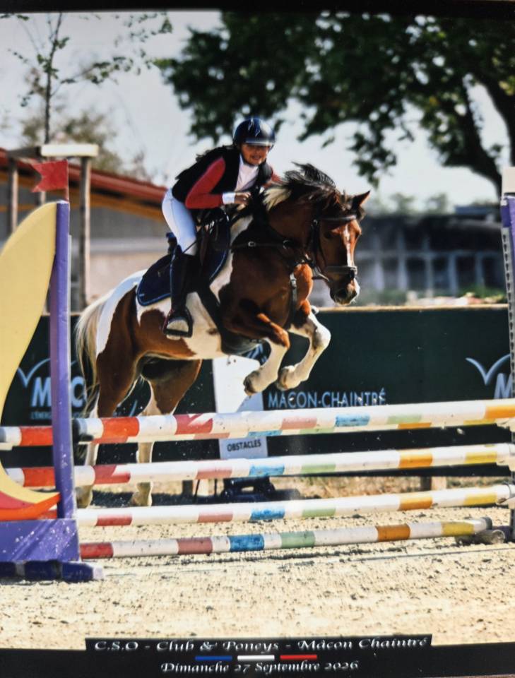 Poney B 7ans
