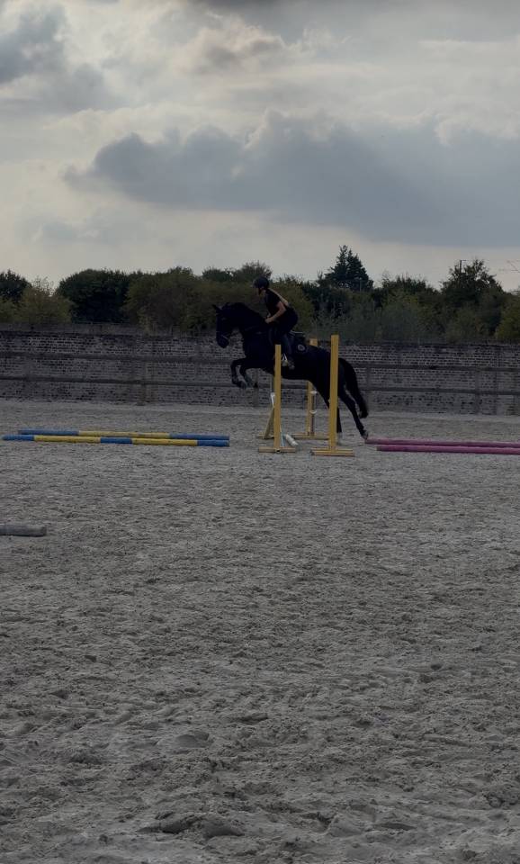 Cheval amateur 