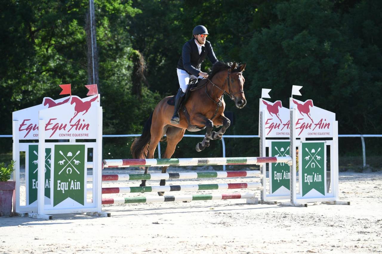 VICTOIRE MONTANA Z ? Jument Zangersheide de 4ans
