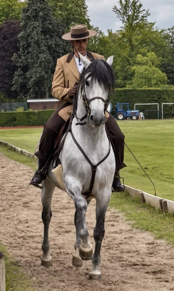 COACHING PRIV&Eacute; &ndash; DRESSAGE, &Eacute;QUITATION DE L&Eacute;G&Egrave;RET&Eacute; 