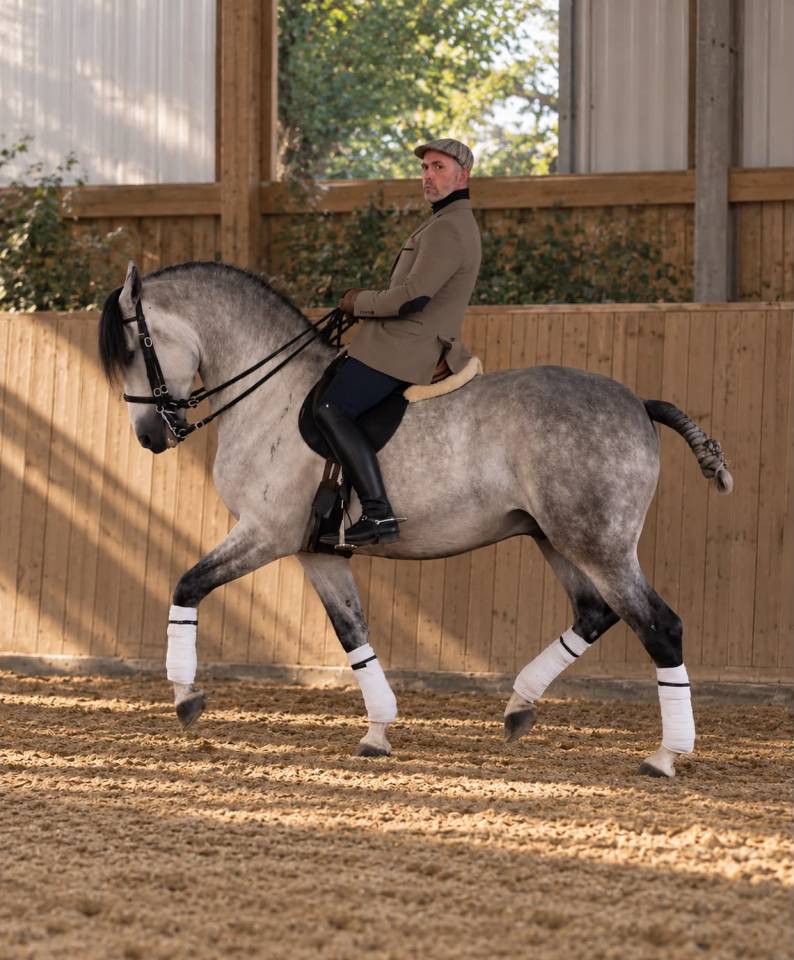 COACHING PRIV&Eacute; &ndash; DRESSAGE, &Eacute;QUITATION DE L&Eacute;G&Egrave;RET&Eacute; 