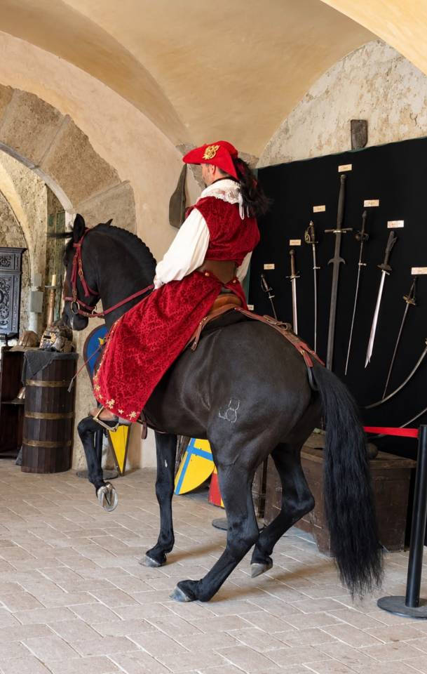 COACHING PRIV&Eacute; &ndash; DRESSAGE, &Eacute;QUITATION DE L&Eacute;G&Egrave;RET&Eacute; 