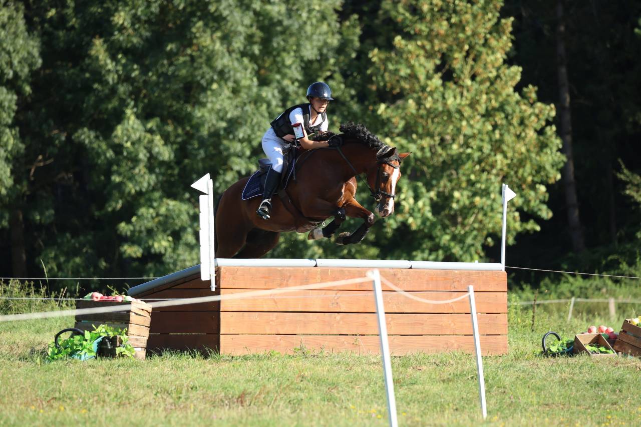 Poney D ma&icirc;tre d&rsquo;&eacute;cole, &agrave; louer
