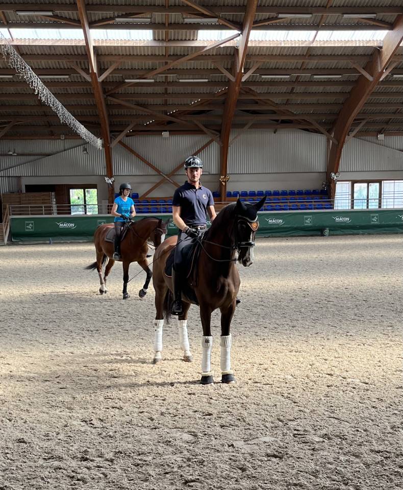 Ma&icirc;tre d&rsquo;&eacute;cole Cheval de dressage d&rsquo;exception 