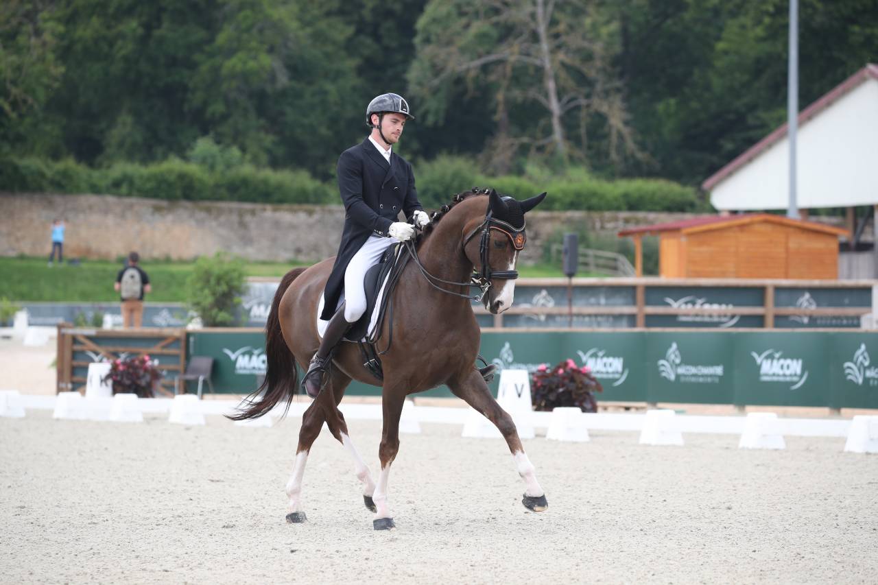 Ma&icirc;tre d&rsquo;&eacute;cole Cheval de dressage d&rsquo;exception 
