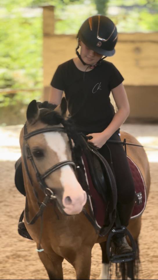 poney &agrave; louer ou &agrave; vendre