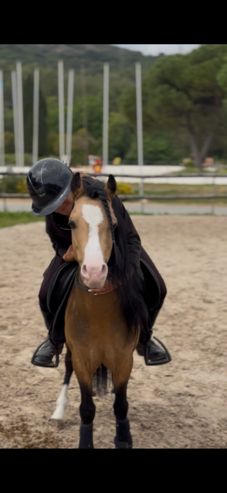 poney &agrave; louer ou &agrave; vendre
