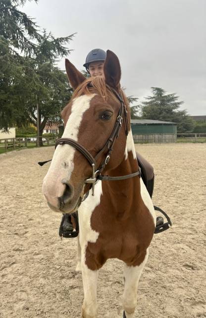 adorable jument pie 9 ans