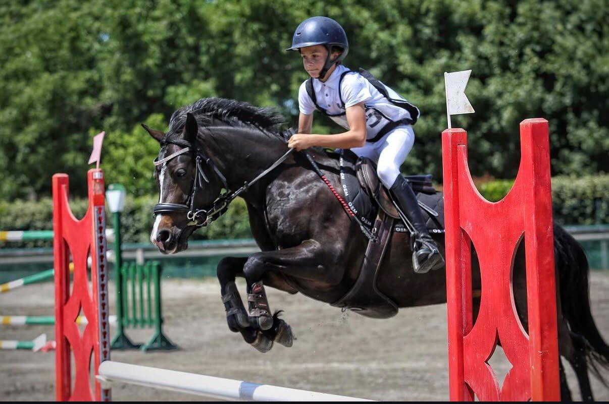Poney &agrave; louer ou &agrave; vendre 