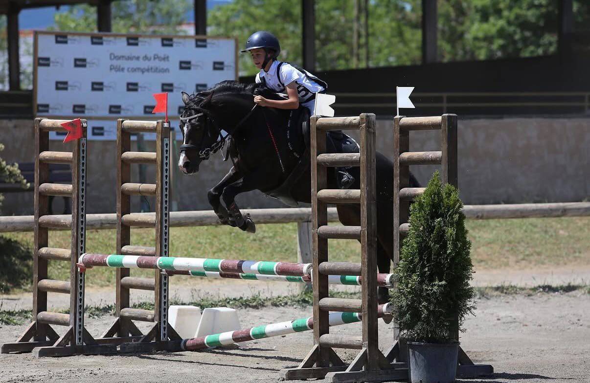 Poney &agrave; louer ou &agrave; vendre 