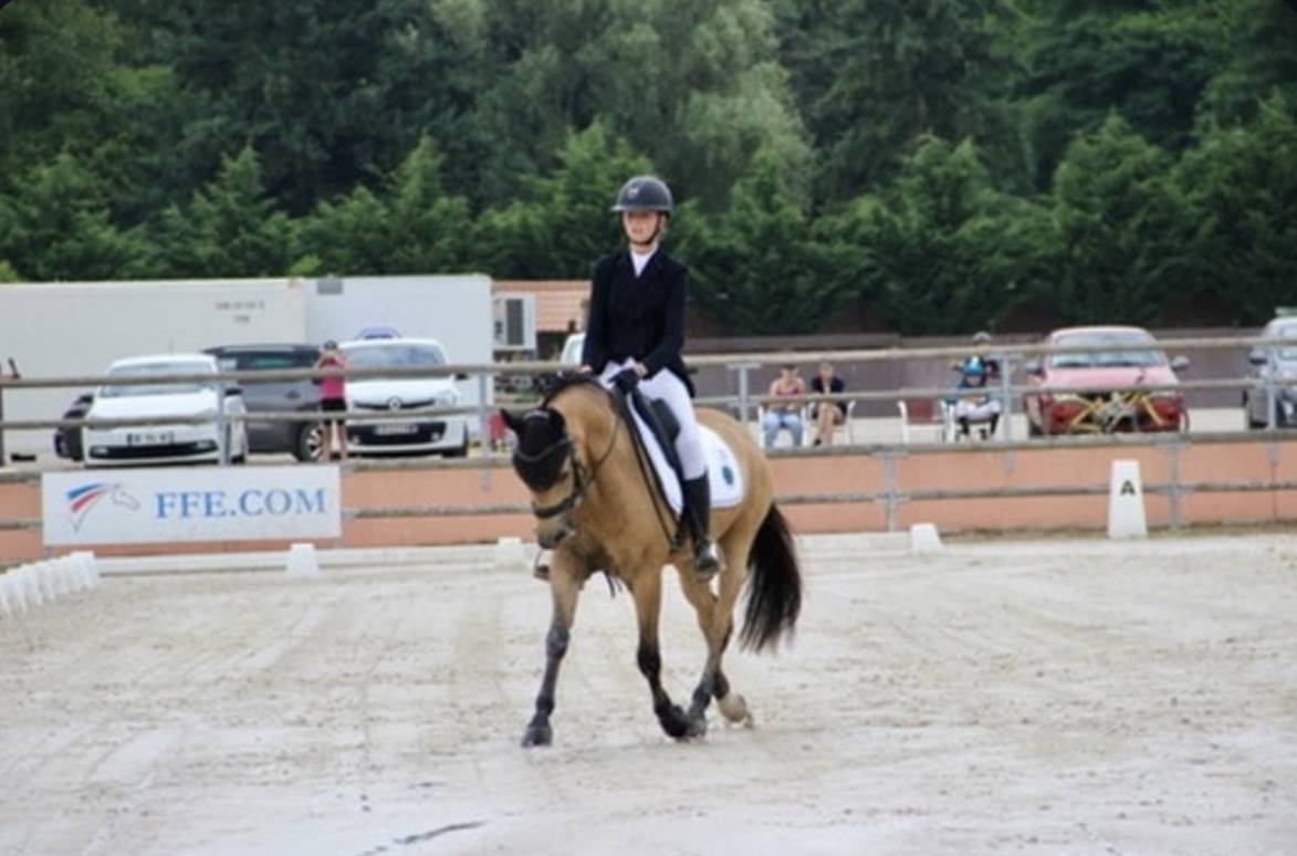 Poney &agrave; vendre ou louer 
