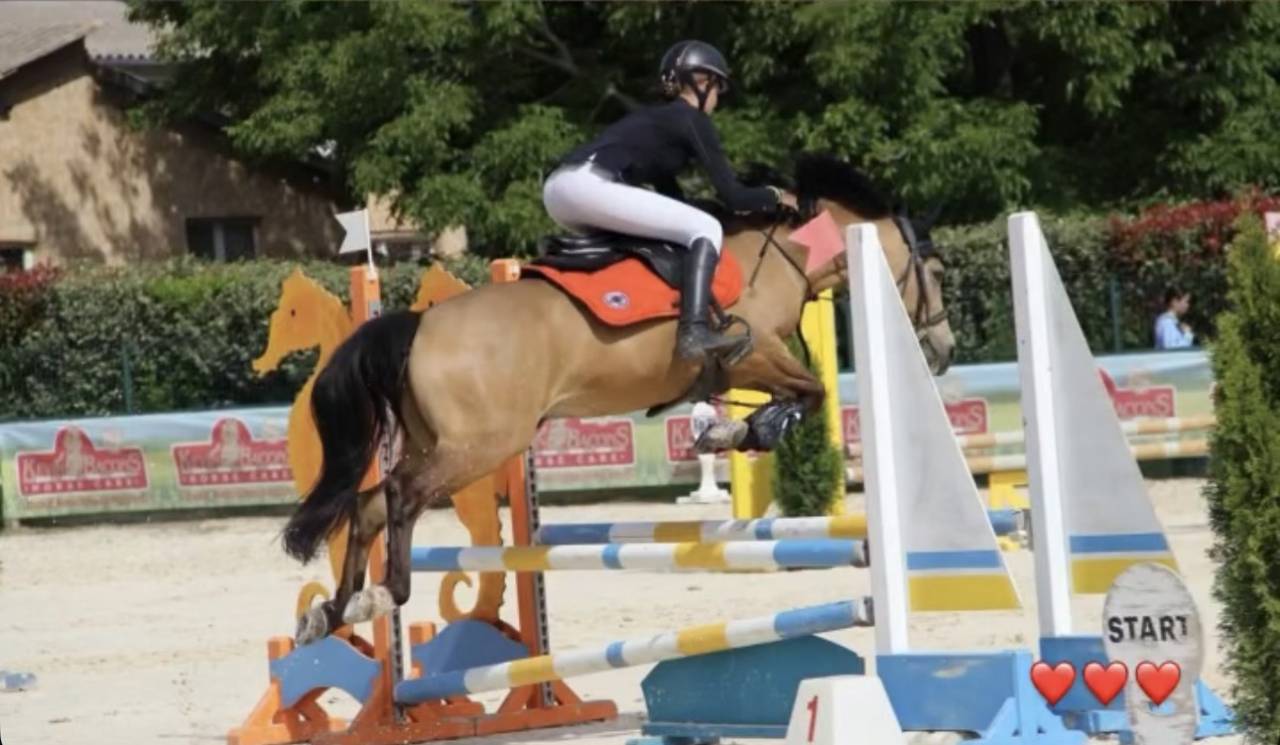 Poney &agrave; vendre ou louer 