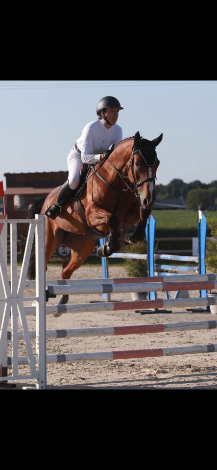 &Agrave; vendre cheval de 10 ans