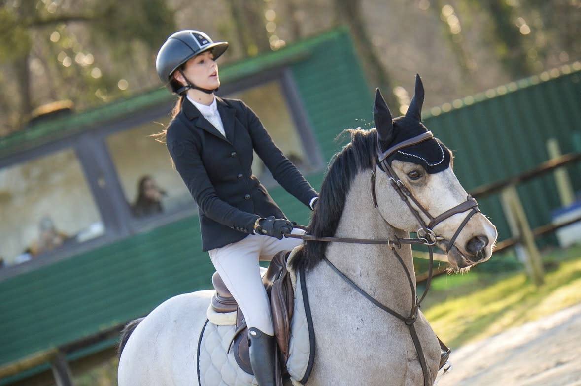 Welsh Cob  gros potentiel moyens &agrave; exploiter