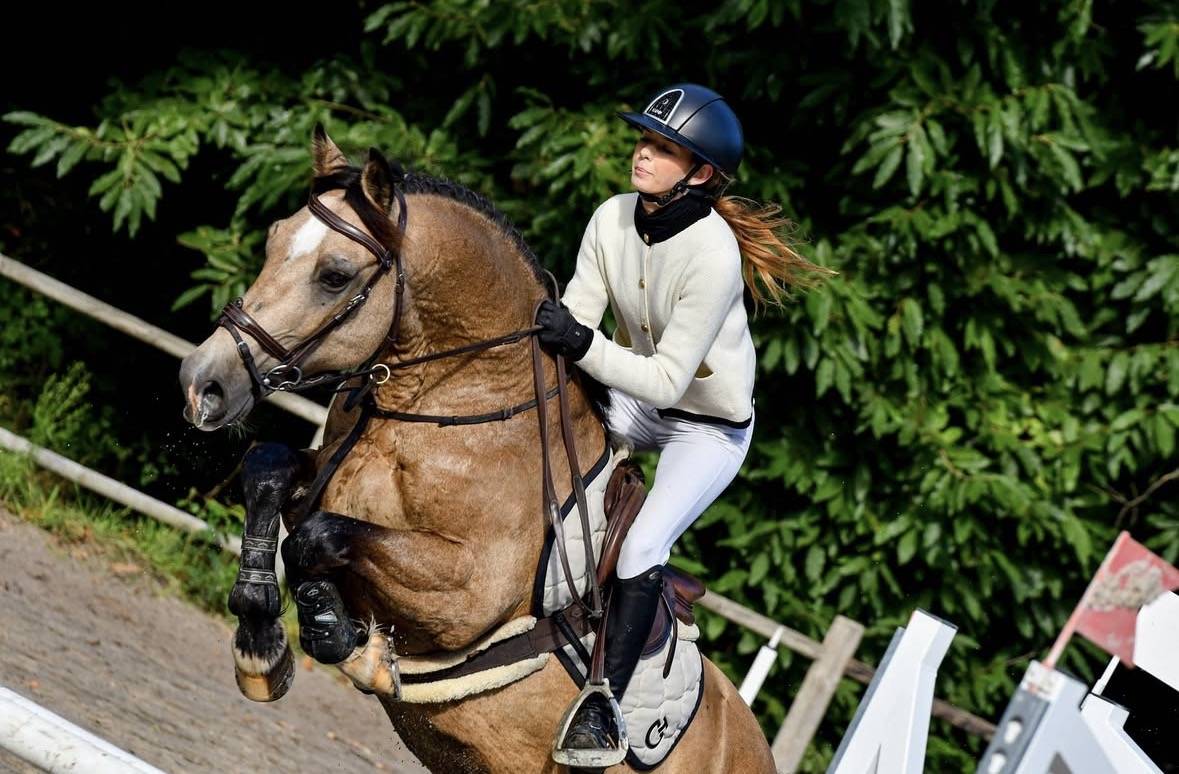 Welsh Cob  gros potentiel moyens &agrave; exploiter