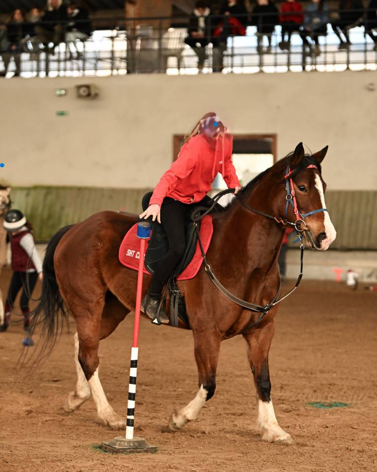 Jument Paint Horse PP APHA